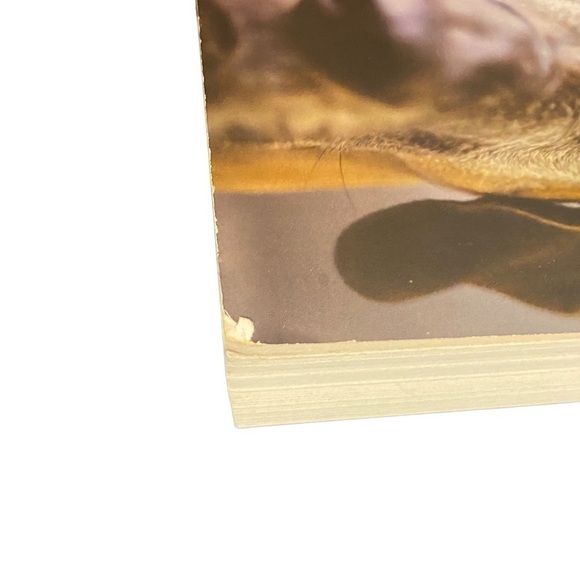 Inside of a Dog: What Dogs See, Smell, and Know - Picture 5 of 14